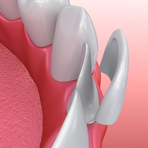 stony-plain-dental-family-dentist Stony Plain Dental